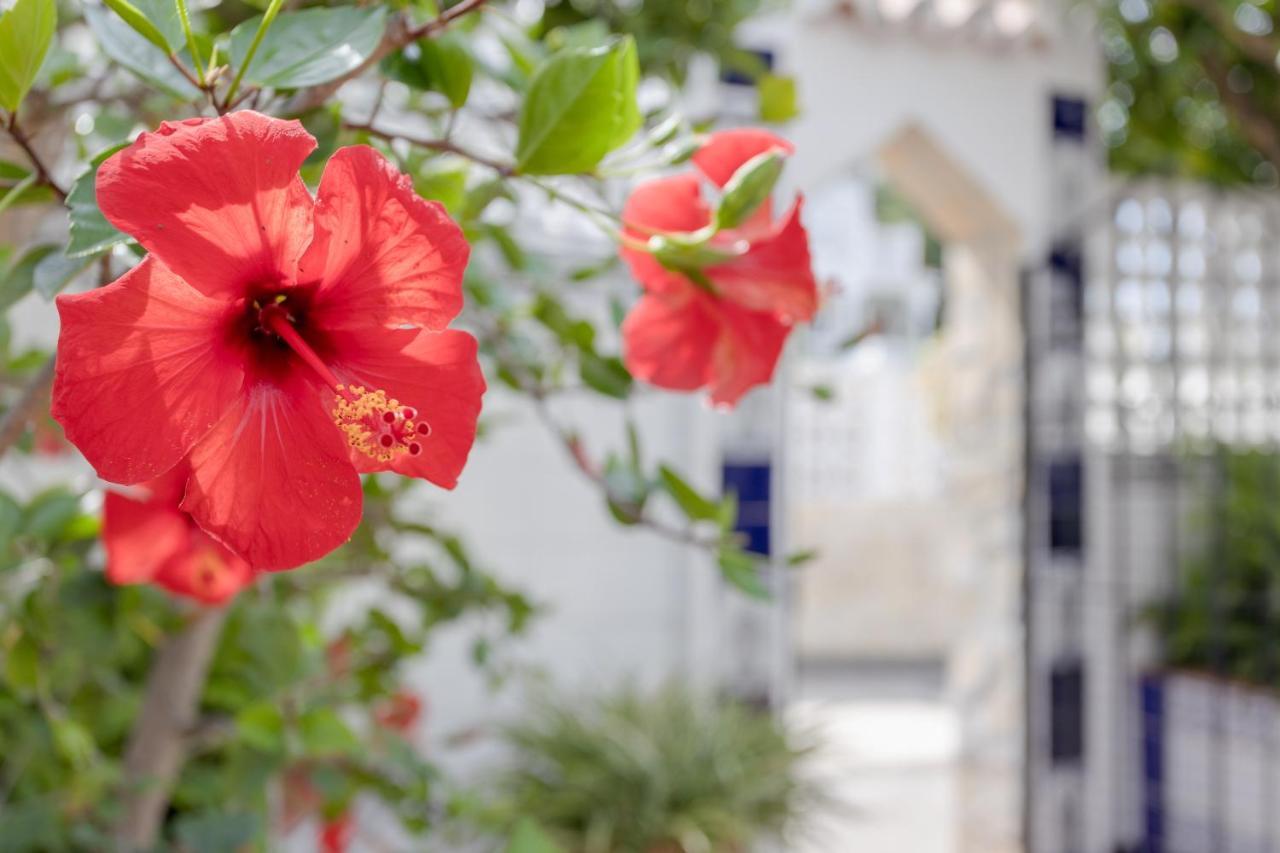 Mi Casa Villa Caleta De Velez Ngoại thất bức ảnh